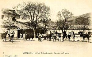 103- Miliana- Depot de la Remonte